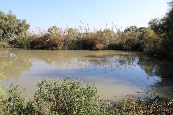 Ağaçlar ve çalılar İsrail 'in kuzeyindeki bir şehir parkında bir nehrin kıyısında yetişir.. 