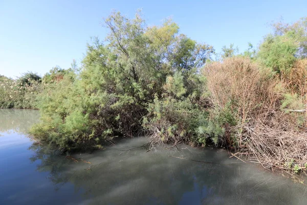 Trees and shrubs grow on the banks of a river in a city park in northern Israel.