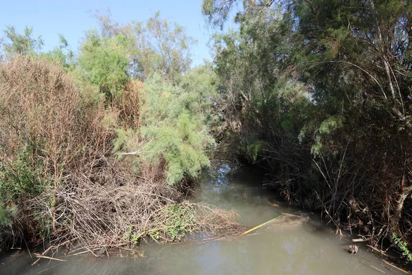 Trees and shrubs grow on the banks of a river in a city park in northern Israel.