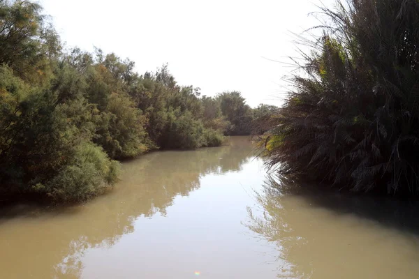 以色列北部一个城市公园的河岸上生长着树木和灌木 — 图库照片