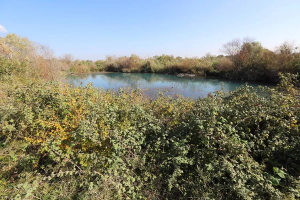 Ağaçlar ve çalılar İsrail 'in kuzeyindeki bir şehir parkında bir nehrin kıyısında yetişir.. 