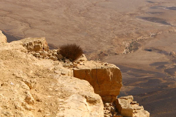 Bjerglandskab Ramon Crater Negev Ørkenen Det Sydlige Israel Krateret Langt - Stock-foto