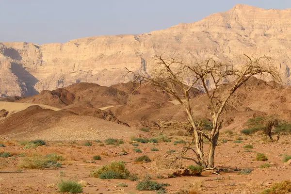 Srail Güneyindeki Negev Çölü Ndeki Eilat Dağları Kayalar Kum Taşlarından — Stok fotoğraf
