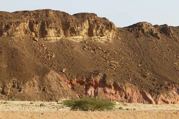 Eilatbergen Negevöknen Södra Israel Stenarna Består Sandsten Magmatisk Och Vulkanisk — Stockfoto