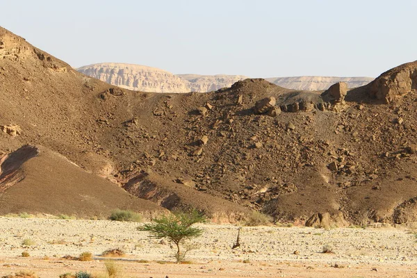 이스라엘 남부네 사막에 에일라 암석은 화성암 화산암으로 이루어져 — 스톡 사진