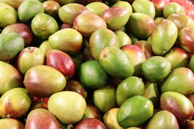 İsrail 'in kuzeyindeki Akko şehrindeki bir sebze pazarında taze sebze ve meyve satılır. 