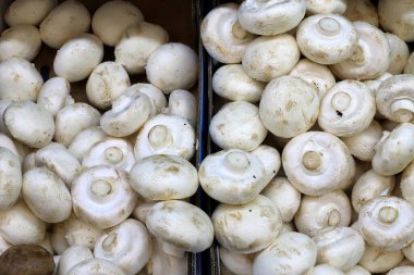 İsrail 'in kuzeyindeki Akko şehrindeki bir sebze pazarında taze sebze ve meyve satılır. 