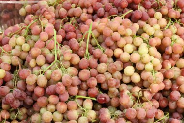 İsrail 'in kuzeyindeki Akko şehrindeki bir sebze pazarında taze sebze ve meyve satılır. 