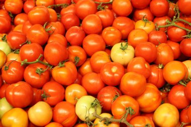 İsrail 'in kuzeyindeki Akko şehrindeki bir sebze pazarında taze sebze ve meyve satılır. 