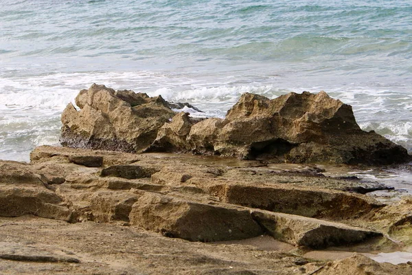 Rocks Stones Shores Mediterranean Sea North State Israel — Stock Photo, Image