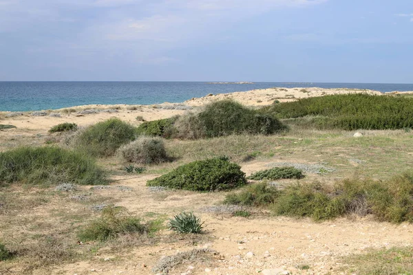 Rocce Pietre Sulle Rive Del Mar Mediterraneo Nel Nord Dello — Foto Stock