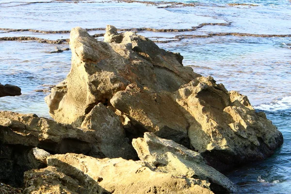 Srail Devletinin Kuzeyindeki Akdeniz Kıyılarında Kayalar Taşlar — Stok fotoğraf