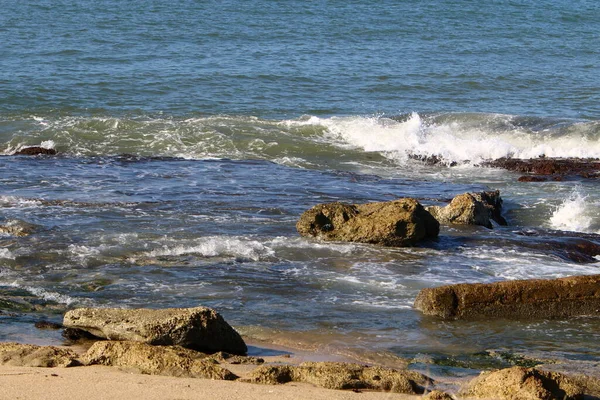 イスラエル北部の地中海沿岸の岩や石 — ストック写真