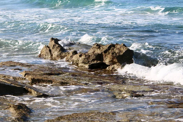 Rochas Pedras Nas Margens Mar Mediterrâneo Norte Estado Israel — Fotografia de Stock