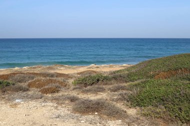 İsrail devletinin kuzeyindeki Akdeniz kıyılarında kayalar ve taşlar 