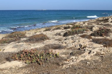 İsrail devletinin kuzeyindeki Akdeniz kıyılarında kayalar ve taşlar 