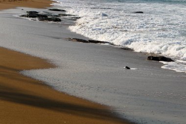 2021 kışında Akdeniz kıyısındaki karantina sırasında ıssız bir sahil İsrail 'in kuzeyinde. 