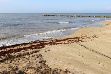 2021 kışında Akdeniz kıyısındaki karantina sırasında ıssız bir sahil İsrail 'in kuzeyinde. 