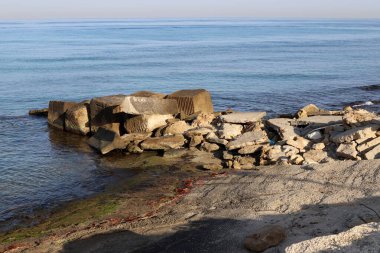 İsrail 'in kuzeyindeki Akdeniz kıyılarında büyük taş ve kabuklar 