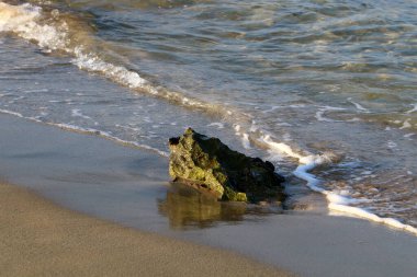 İsrail 'in kuzeyindeki Akdeniz kıyılarında büyük taş ve kabuklar 