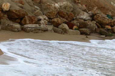 İsrail 'in kuzeyindeki Akdeniz kıyılarında büyük taş ve kabuklar 