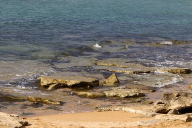 İsrail 'in kuzeyindeki Akdeniz kıyılarında büyük taş ve kabuklar 