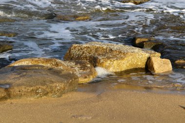 İsrail 'in kuzeyindeki Akdeniz kıyılarında büyük taş ve kabuklar 
