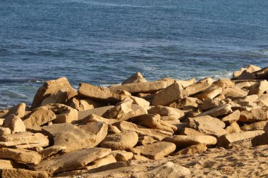İsrail 'in kuzeyindeki Akdeniz kıyılarında büyük taş ve kabuklar 