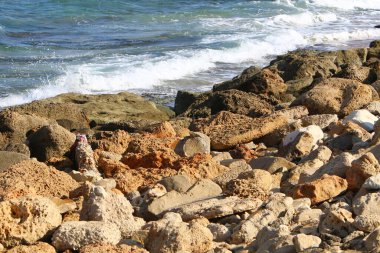 İsrail 'in kuzeyindeki Akdeniz kıyılarında büyük taş ve kabuklar 