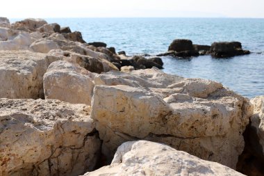 İsrail 'in kuzeyindeki Akdeniz kıyılarında büyük taş ve kabuklar 