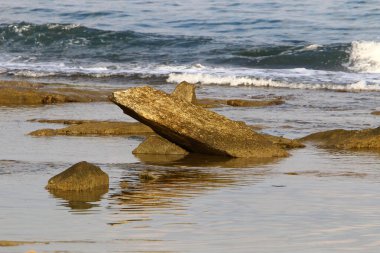 İsrail 'in kuzeyindeki Akdeniz kıyılarında büyük taş ve kabuklar 