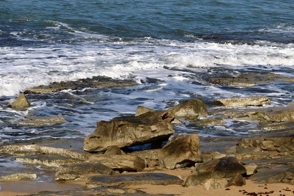 Grote Stenen Schelpen Aan Oevers Van Middellandse Zee Het Noorden — Stockfoto