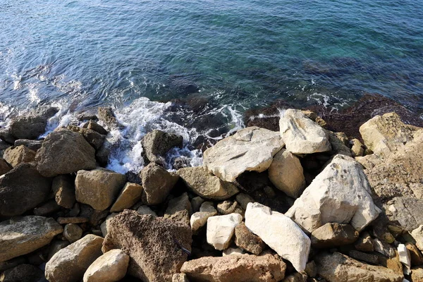Srail Kuzeyindeki Akdeniz Kıyılarında Büyük Taş Kabuklar — Stok fotoğraf