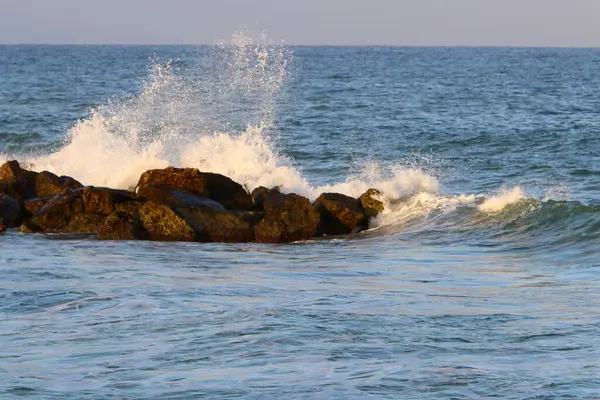 Grandes Piedras Conchas Las Orillas Del Mar Mediterráneo Norte Israel —  Fotos de Stock