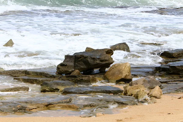 Grote Stenen Schelpen Aan Oevers Van Middellandse Zee Het Noorden — Stockfoto