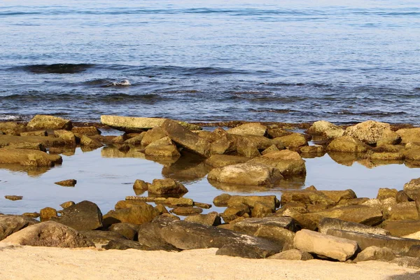 Μεγάλες Πέτρες Και Όστρακα Στις Ακτές Της Μεσογείου Θάλασσας Στο — Φωτογραφία Αρχείου