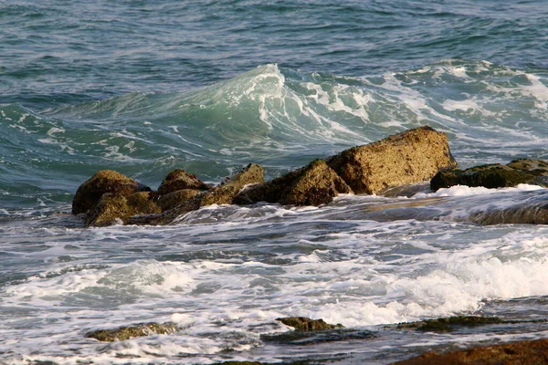 Pietre Mari Scoici Țărmurile Mării Mediterane Nordul Israelului — Fotografie, imagine de stoc