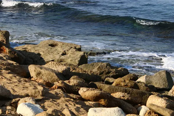 イスラエル北部の地中海沿岸の大きな石や貝殻 — ストック写真