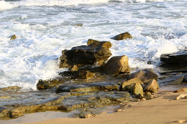 Grandes Piedras Conchas Las Orillas Del Mar Mediterráneo Norte Israel —  Fotos de Stock