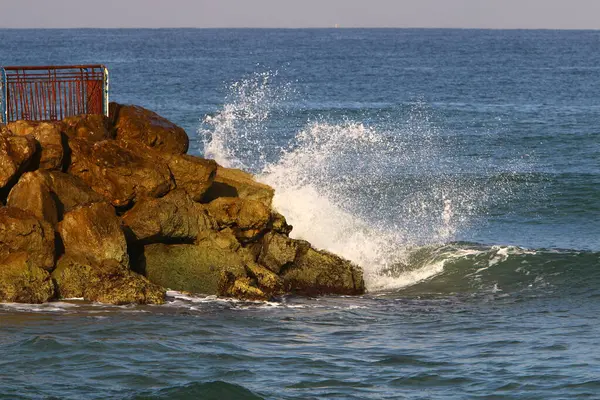 Grandes Piedras Conchas Las Orillas Del Mar Mediterráneo Norte Israel — Foto de Stock