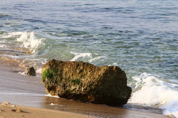 Large Stones Shells Shores Mediterranean Sea Northern Israel — Stock Photo, Image