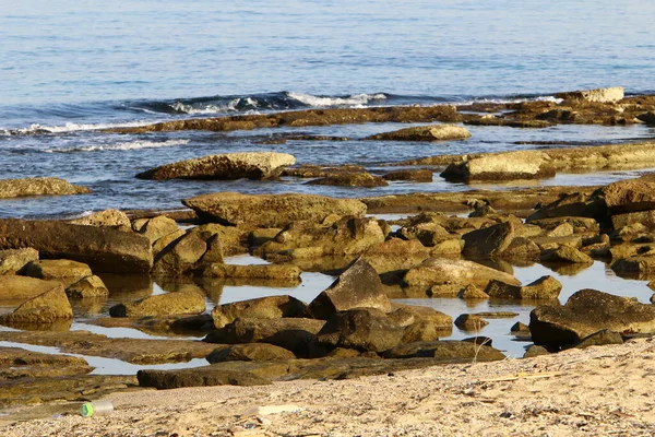 Large Stones Shells Shores Mediterranean Sea Northern Israel — Stock Photo, Image