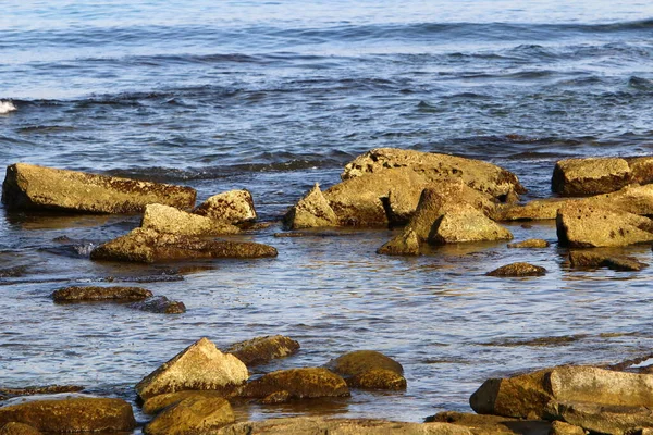 Large Stones Shells Shores Mediterranean Sea Northern Israel — Stock Photo, Image