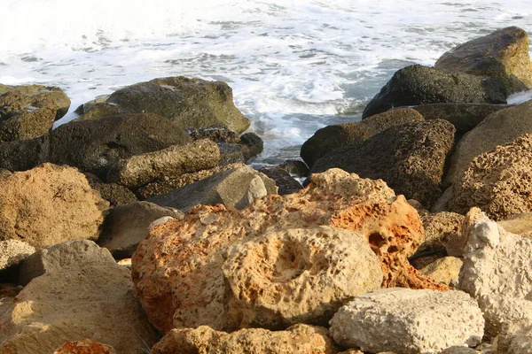 Nagy Kövek Kagylók Földközi Tenger Partján Észak Izraelben — Stock Fotó