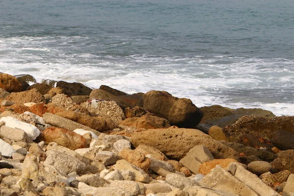 Grandes Pedras Conchas Nas Margens Mar Mediterrâneo Norte Israel — Fotografia de Stock