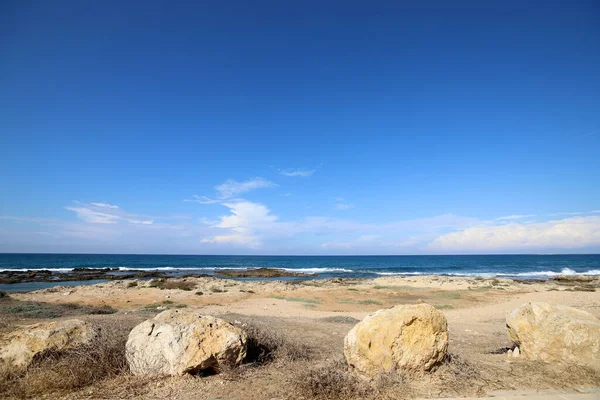 Duże Kamienie Muszle Wybrzeżach Morza Śródziemnego Północnym Izraelu — Zdjęcie stockowe