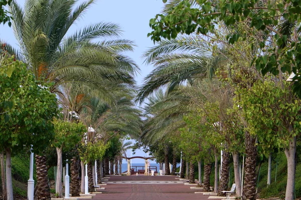 Fußgängerstraße Einem Stadtpark Der Mittelmeerküste Norden Israels — Stockfoto