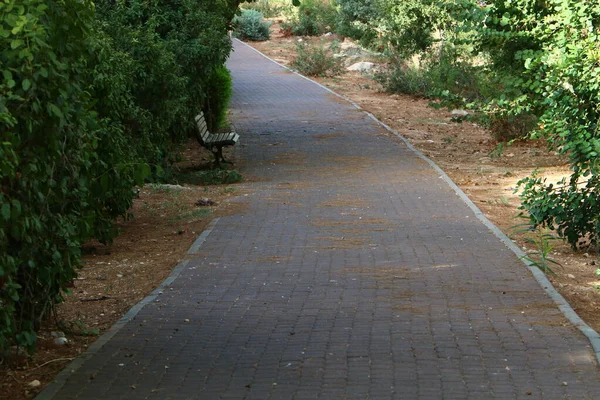 Camino Peatonal Parque Urbano Costa Mediterránea Norte Israel — Foto de Stock