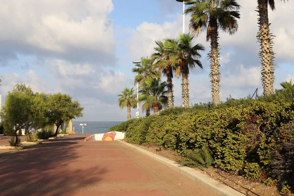 Srail Kuzeyinde Akdeniz Kıyısındaki Bir Şehir Parkında Yaya Yolu — Stok fotoğraf