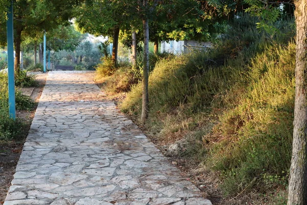 以色列北部地中海沿岸一个城市公园的人行横道 — 图库照片